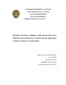 INFORME TÉCNICO JURÍDICO MODALIDAD PRÁCTICA FORENSE REALIZADO EN EL DESPACHO DE ABOGADOS VASQUEZ - RENGEL & ASOCIADOS