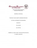 ANALISIS DE LOS VIDEOS. EL CIRCO DE LAS MARIPOSAS