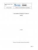 CASO EMPRESA PETROLERA “PETROCOL”