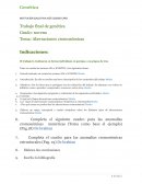Aberraciones cromosómicas. Trabajo final de genética