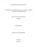 APLICABILIAD DE LA MATRIZ DE KRALJIC EN LA ACTUALIDAD Y APORTE A CERCA DE LA ACTIVIDAD REALIZADA