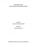 Organización interna de la empresa. Clima organizacional