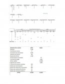 Estados Financieros Inca Toys Semana 02 Aplicación