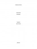 INSTALACIONES ELECTRICAS Canalizaciones eléctricas