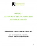ENSAYO: PROCESO DE COMUNICACIÓN
