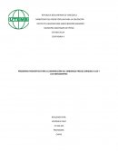 PROGRAMA PREVENTIVO PARA LA DISMINUCIÓN DEL EMBARAZO PRECOZ DIRIGIDO A LOS Y LAS ADOLESCENTES