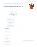 Factores de obesisdad en niños en etapa escolar