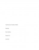 Caso empresa de Maderas RUN