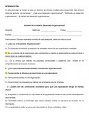 Examen de la materia: Desarrollo Organizacional