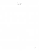 Contaminación Acústica. RUIDO AMBIENTAL Y SALUD HUMANA