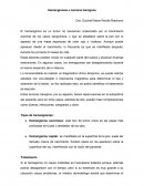 Hemangiomas o tumores benignos