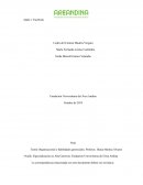 Teoría Organizacional y habilidades gerencial- Apple