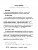 Determinacion de elementos por ensayo a la llama