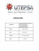 Ácido acético, definición y características