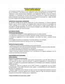 RESUMEN DE AUDITORÍA