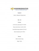 Analisis y Diagnostoco Organizacional