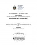 Elaboración de Yogurt Griego Artesanal, Primer Semestre del año 2019