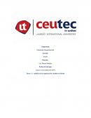 Análisis de la organización: Módulo de diseño