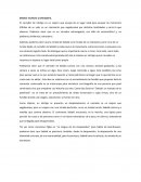 La barca sin pescador