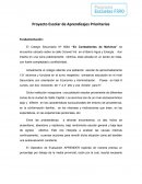 Proyecto Escolar de Aprendizajes Prioritarios