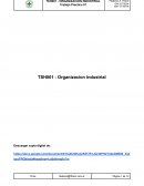 TRABAJO PRACTICO ORGANIZACION INDUSTRIAL IAS