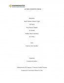 Accion constitucional. Problemática: el consumo de la droga