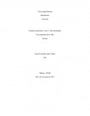 Las preguntas de la vida