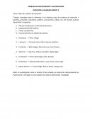 TRABAJO DE INVESTIGACIÓN Y SUSTENTACIÓN INYECCIÓN A GASOLINA GRUPO 3