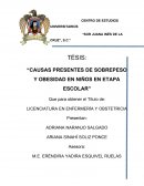 Causas presentes de sobrepeso y obesidad en niños en etapa escolar