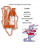 Desarrollo sustentable.Carta a la Tierra