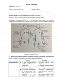 Adolescencia, el desarrollo