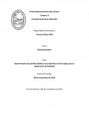 Determinación de perfiles lipídicos más efectivos en microalgas para la elaboración de biodiesel