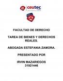 TAREA DE BIENES Y DERECHOS REALES.