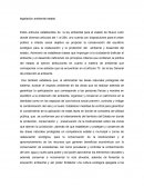 Reglamento ambiental de estado de nuevo leon