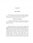 Antecedentes de la Investigación. Relación con la investigación