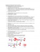 CONCEPTOS FUNDAMENTALES DE BIOLOGÍA. RESUMEN