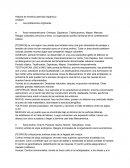 Resumen América Colonial