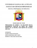PREVALENCIA DE ANEMIA Y SU RELACIÓN CON EL RENDIMIENTO ESCOLAR EN NIÑOS DEL PRIMER GRADO DE LA ESCUELA SAN MARTIN DE JULIACA, AÑO 2018