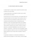 Ensayo desarollo a escala humana