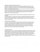 Buen viaje señor presidente