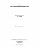 Generalidades y biología de los fitopatógenos