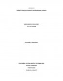 Generalidades y biología de los fitopatógenos