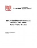 ESTADO DE DERECHO Y PROPIEDAD: UNA REFLEXION LIBERAL