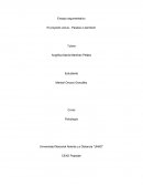 El proyecto venus - Paraíso o perdición