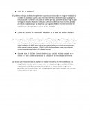 Caso lehman brothers