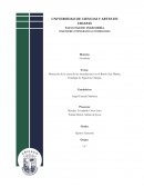 Detección de la causa de las inundaciones en el Barrio San Martin, Cintalapa de Figueroa, Chiapas