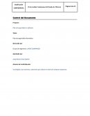 Plan de seguridad informática