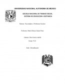 Chimalhuacán Estado de México. Necesidades y problemas sociales