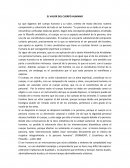 EL VALOR DEL CUERPO HUMANO