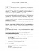 PRIMER AVANCE DEL PLAN ESTRATÉGICO